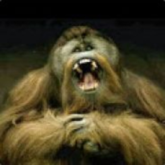 chunkmonkeyxxx
